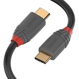 LINDY 36900 USB 3.1 kabel type C / C 5A 0,5 m
