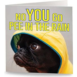Maturi Grappige wenskaart met opschrift ""Dog Go in the Rain"", binnenkant onbedrukt