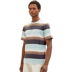 TOM TAILOR Heren gestreept T-shirt, 32493-blue Multi Gradient Stripe, M, 10668-kapitein van de blauwe lucht