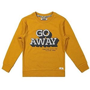 DJ DUTCHJEANS Sweatshirt voor jongens, bruin, 3 jaar, Bruin