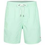 O'NEILL Vert Swim 16 inch heren zwemshorts, 15043 Beach Glass, 15043 Beach Glass, 15043 Beach Glass