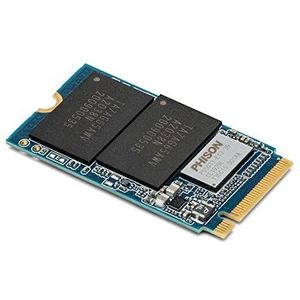 OWC SSD 480 GB 2.7/1.0 Aura P13 M.2 comatibel met pc's en Accelsior 1M2