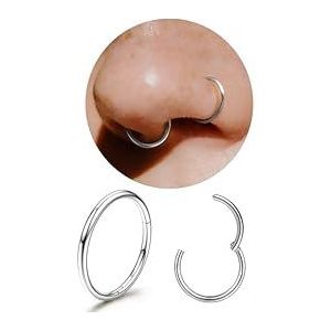 Diamday G23 Titanium neusringen, 20G, 18G, 16G, naadloos, voor neuspiercing, click ringen, hypoallergeen, click ringen, helix ringen, lippiercing, daith conch, tragus,, Titanium