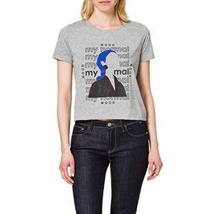 LTB Jeans Hirodo T-shirt voor dames, grijs mel 203