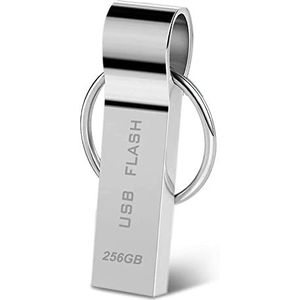 WAFANGZHUN USB-stick, 256 GB, USB 3.0, 256 GB, 256 GB, waterdicht, metalen gegevens-opslag, USB-stick met sleutelring voor laptop, auto, pc