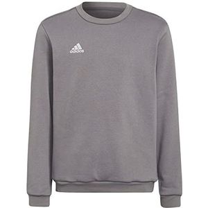 adidas Sweatshirt Ent22 Sw Topy, Tegrfo, H57477, 140 EU