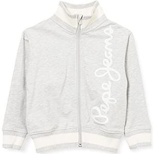 Pepe Jeans Scott Sweater voor jongens, 933grey marl