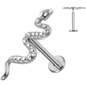 ESHIONER 1 x G23 neuspiercing van hypoallergeen titanium, (16 g) 1,2 x 8 mm, Titanium