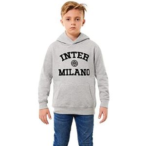 FC Internazionale Milano S.p.A. Sweatshirt met capuchon, lichtgrijs (RAL 7035), 14 jaar, kinderen en jongeren