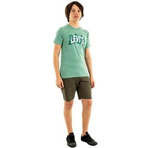 Levi's Kids Lvb Graphic Short Sleeve T-shirt voor jongens, wollen bol peper groen