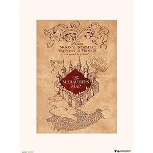 Harry Potter: The Marauders Map Print