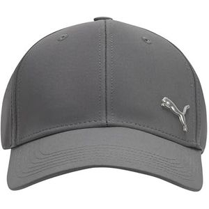 PUMA Stretch Unisex Baseball Cap, grijs/zilver