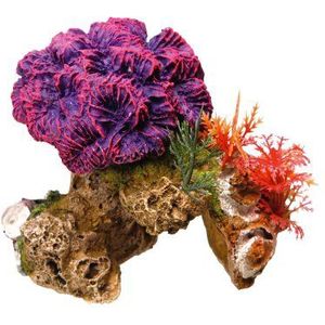 Nobby Koraalsteen met planten, decoratie voor aquaria, 13 x 10 x 12 cm
