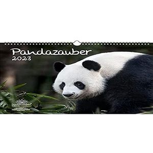 Pandazauber kalender DIN A3 voor Panda 2023 - soulenzauber