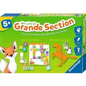 Ravensburger - Educatief spel - Mijn grote spellen - Complete educatieve set - 20 activiteiten programma 3e kleuterschool - Vanaf 5 jaar - 24524