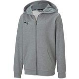 Puma TeamGOAL 23 Casual Hooded Jacket Jr Pullover Uniseks Kinderen, Medium Grijs Heather, Eén maat (Fabrikant maat: 152), grijs gemêleerd