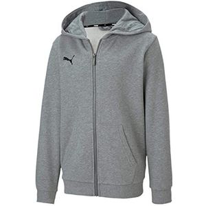 PUMA Herren teamGOAL 23 Casuals Hooded Jacket Kapuzenjacke, Medium Gray Heather, XXL