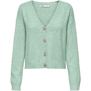 Onlrica Life L/S KNT Nca Cardigan à col en V, Lumière., M