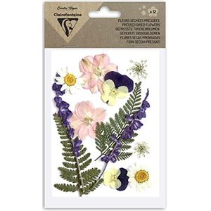 Clairefontaine 195594C – zak met 12 gedroogde bloemen – echte bloemen – doe-het-zelfkunst – scrapbooking, knutselen, creatieve kaarten – decoratie, creatieve hobby – assortiment van de weide