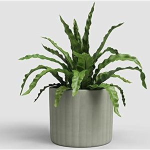 Artevasi Chloe Pot, Pot de Fleur avec des Lignes Verticales, Pot décoratif, Céramique Fait à la Main, Vert Olive, 21cm