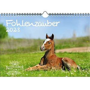A4 kalender voor paarden en veulen 2023