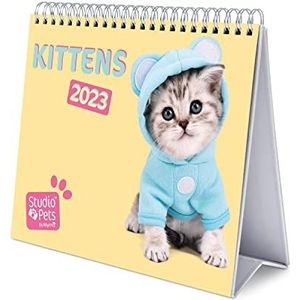 Grupo Erik - Bureaukalender 2023 katten – 12 maanden, 20 x 18 cm, maandkalender in het Frans, januari 2023 tot december 2023, FSC-gecertificeerd, met harde standaard, CS23012