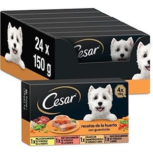 CESAR Multipack Natvoer tarieven voor honden, selectie en gelatine, gelatine Huerta-recepten (verpakking van 6 x 4 Tarrinas x 150 g)