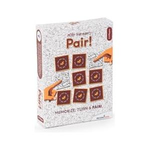 Pair! Mike Harman - Recent Toys: Geheugenspel voor 2-4 spelers vanaf 14 jaar