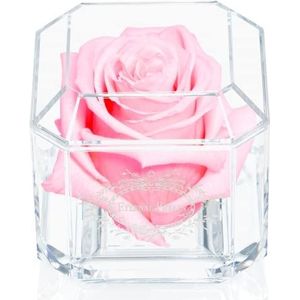 Een 100% echte roos die een jaar meegaat, het perfecte unieke cadeau voor vrouwen en mannen, een verjaardagscadeau, verjaardagscadeau (lichtroze)
