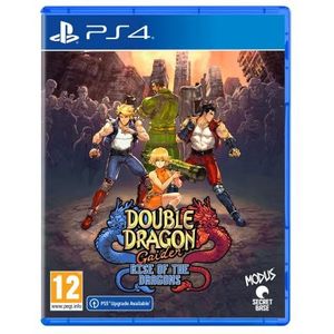 Double Dragon Gaiden Rise of the Dragons Playstation 4