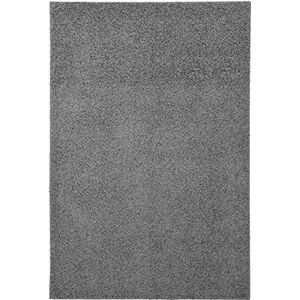 Dandy Fiji zacht tapijt Shaggy, wasbaar, polypropyleen, zilverkleurig, 150 x 100 cm