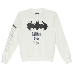 s.Oliver 2151657 Batman Sweatshirt voor jongens, 0210 Wit