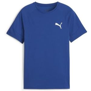 PUMA T-shirt unisexe Evostripe B