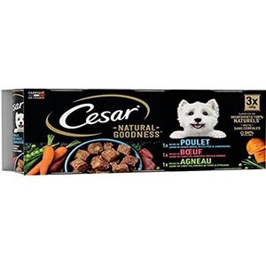CESAR Natural Goodness Terrinebox voor volwassen honden, 3 soorten, 24 x 400 g