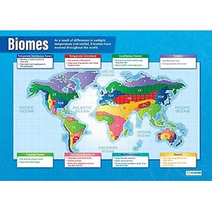 Daydream Education - Biomes | geografische poster | Hoogglans gelamineerd papier met de afmetingen 850 mm x 594 mm (A1) | Poster voor geografische klaslokalen, leerbord