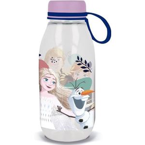 Disney Ecozen Drinkfles voor meisjes, transparant, Tritan Frozen Elsa en Anna 460 ml, met capuchon en siliconen handvat