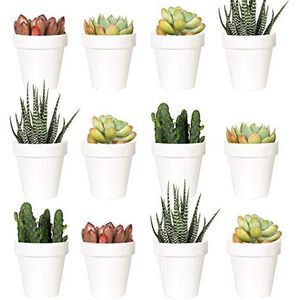Youngever 24 stuks mini-bloempotten van kunststof, 5 cm, voor binnen met drainage, planten niet inbegrepen (klassiek)