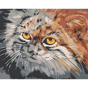 Zuty 1067170 schilderen op nummer kat grijs 40x50 cm zonder spieraam