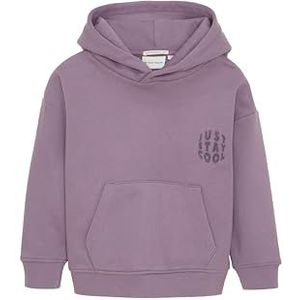 TOM TAILOR Sweatshirt voor jongens en kinderen, 32259 - Paars Grijs