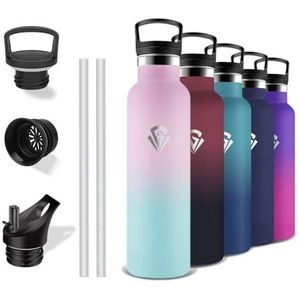 Grsta Doble Aislamiento thermosfles, BPA-vrij, waterfles met rietje, lekvrij, roestvrijstalen fles, 500 ml, metalen fles, voor scholen, camping, kantoor, café, reizen