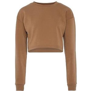 Sanika Pull pour femme 100% polyester à col rond et manches longues Camel Taille M Pull M, camel, M