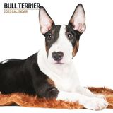 Bull Terrier moderne kalender 2025