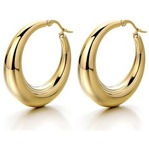 2 gouden holle cirkel oorbellen scharnier - dames meisjes creolen - roestvrij staal, rvs, niet van toepassing