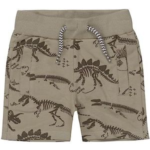 DIRKJE Dirkje Jongens Jogging Korte Groene Dino Shorts Jongens, Groen