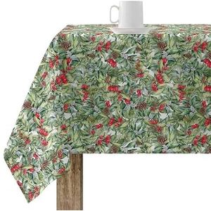 BELUM Tafelkleed Kerstmis | vlekwerend tafelkleed rechthoekig tafelkleed hars (gelamineerd takt) | tafelkleed | tafelkleed | tafelkleed | tafelkleed thuis (100 x 140 cm)