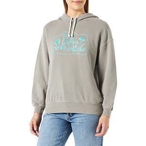 Replay W3045 Sweatshirt met capuchon voor dames, 585 Nepaly Grey