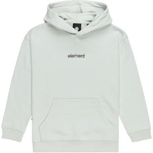 Element Simple Logo Hood Youth T-shirt voor jongens (1 stuk)