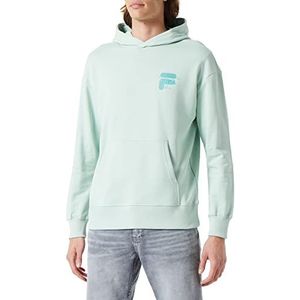 FILA Baar Oversized hoodie voor heren, Silt Green