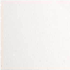 Vaessen Creative Florence Karton, 100 vellen, 216 g/m², vierkant, 30,5 x 30,5 cm, voor scrapbooking, kaarten maken, reliëf en ander knutselwerk van papier