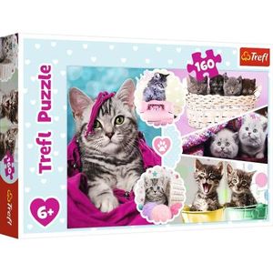 Trefl, Puzzel, schattige kittens, 160 stukjes, voor kinderen vanaf 6 jaar